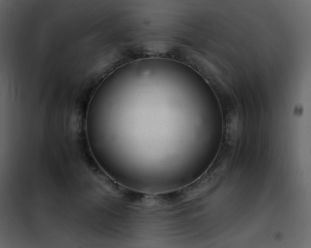 X0000102480608200808081307