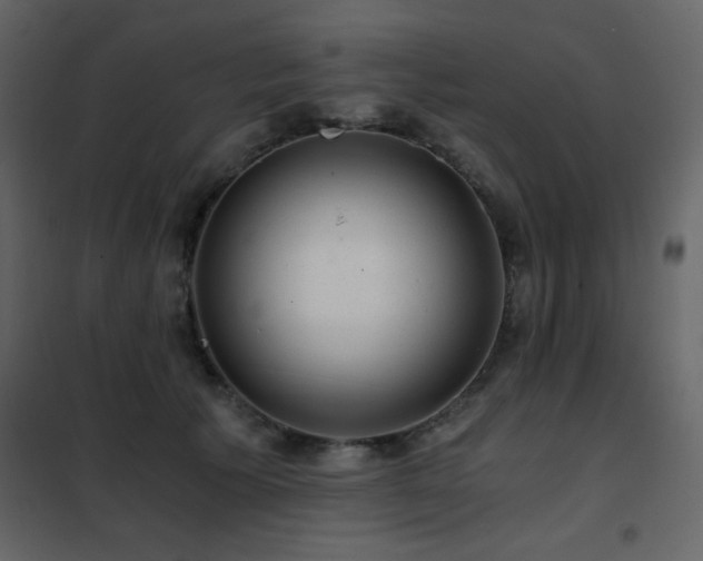 X0000102480609200808081307