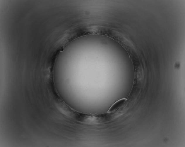 X0000102480611200808081307