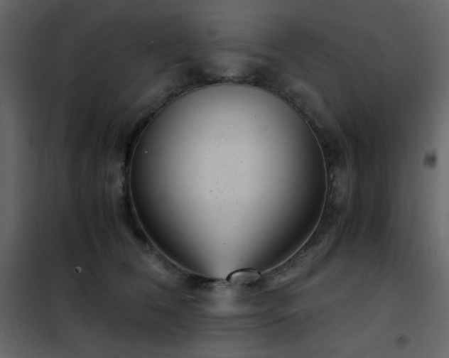 X0000102480612200808081307