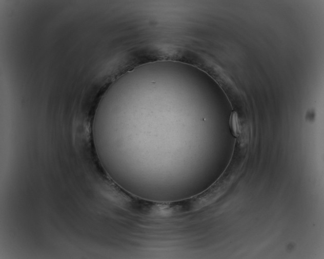 X0000102480613200808081307