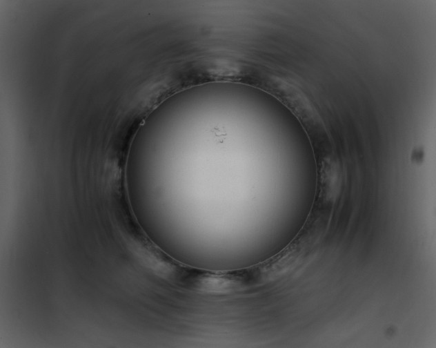 X0000102480614200808081306