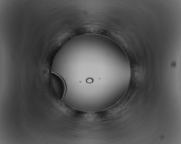 X0000102480615200808081306