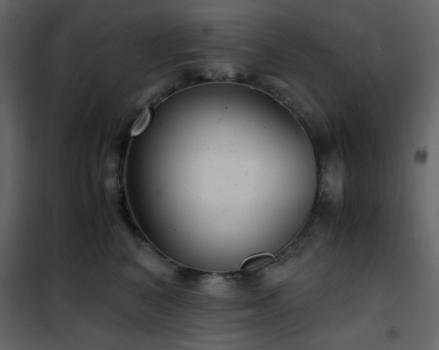 X0000102480616200808081306