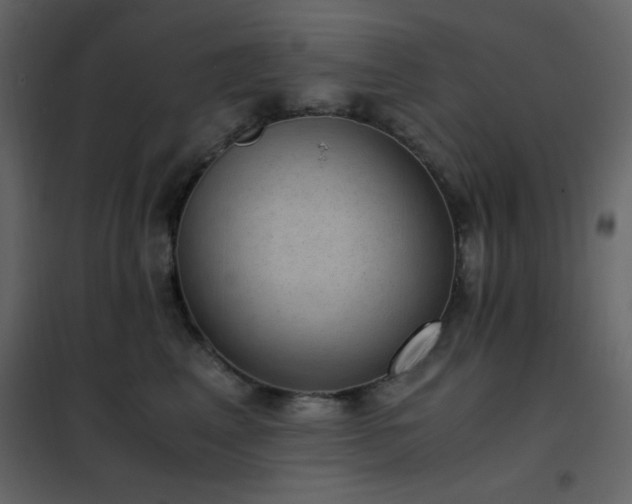 X0000102480617200808081306