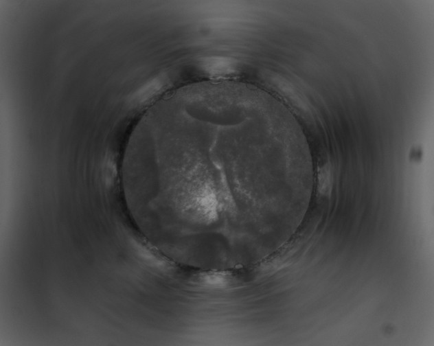 X0000102480618200808081306