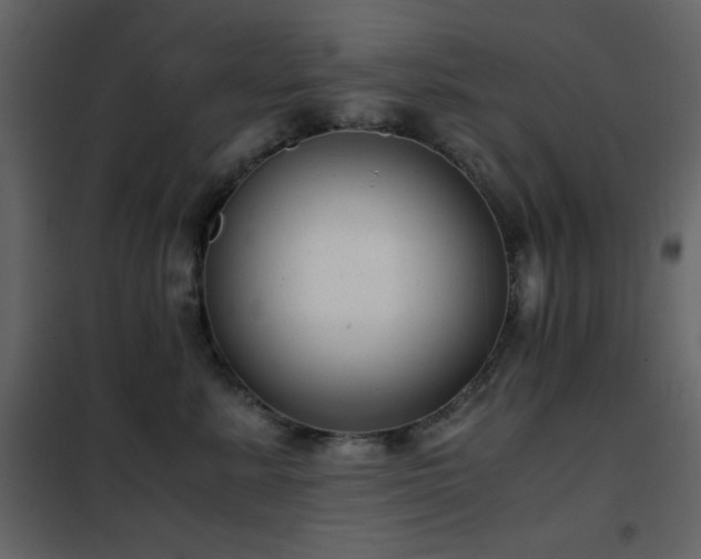 X0000102480619200808081306