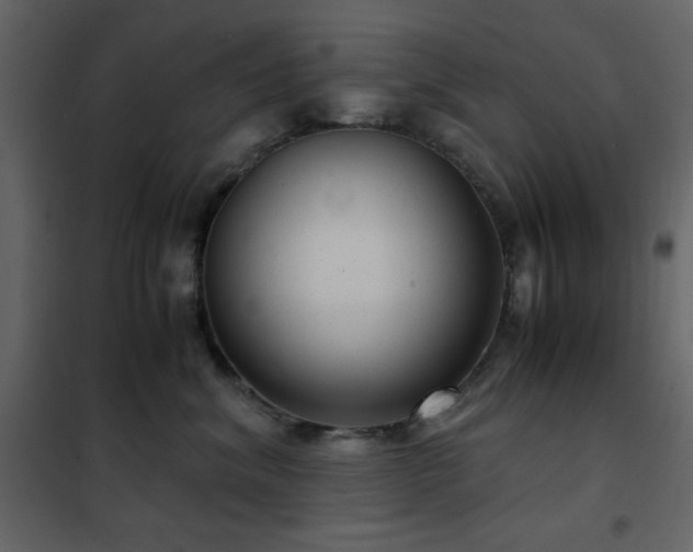 X0000102480620200808081306