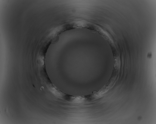 X0000102480621200808081306