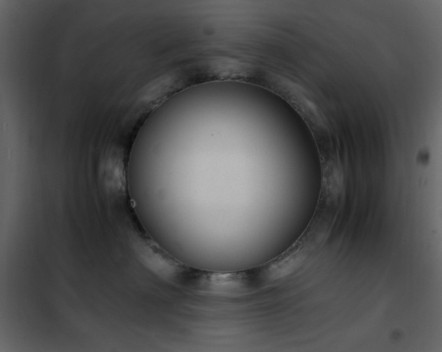 X0000102480622200808081306