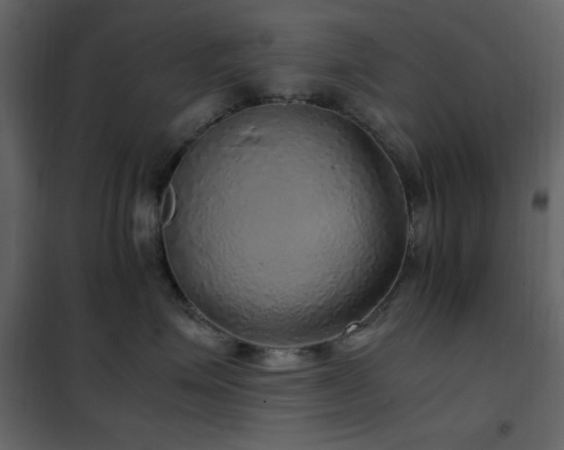 X0000102480623200808081306