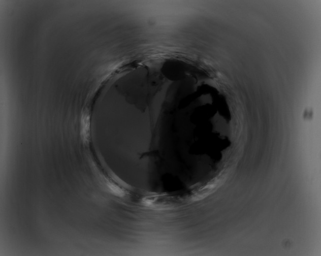 X0000102480624200808081306