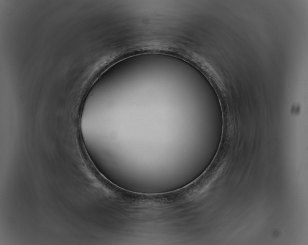 X0000102480625200808081306