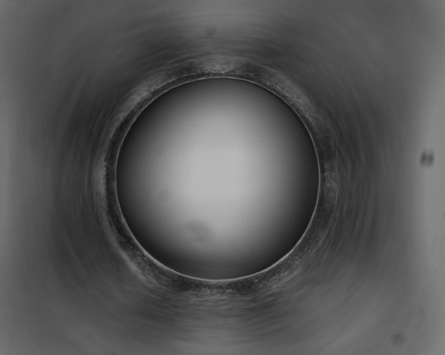X0000102480626200808081306
