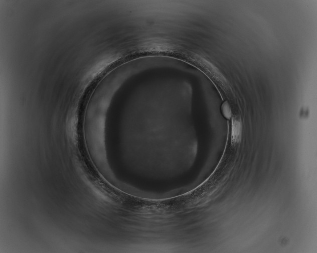 X0000102480627200808081306