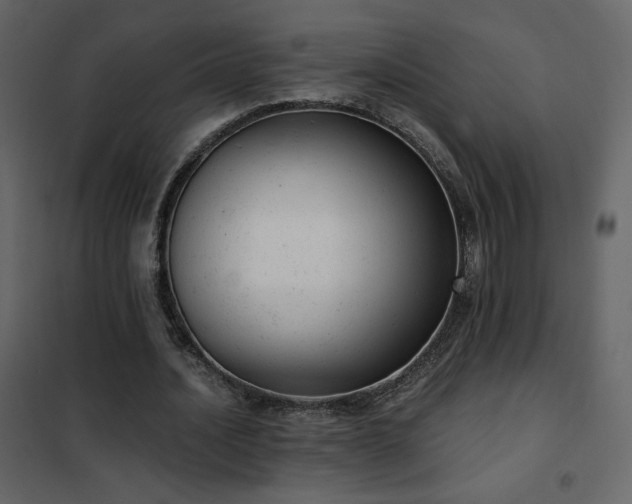 X0000102480628200808081306