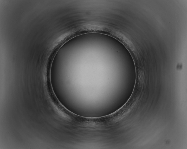 X0000102480629200808081306