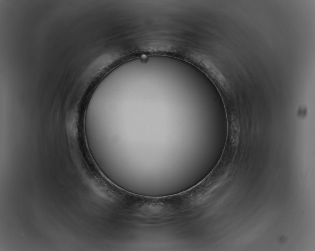 X0000102480631200808081306