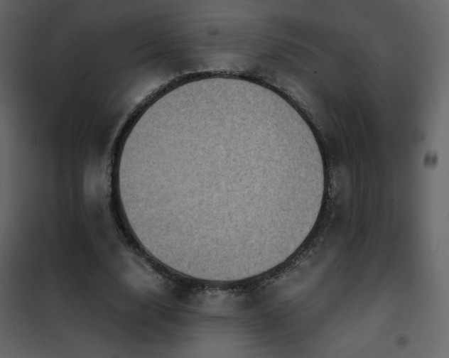 X0000102480632200808081306