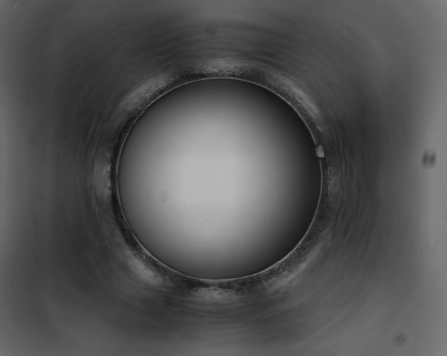 X0000102480633200808081306
