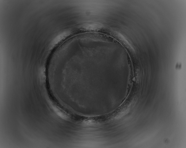X0000102480634200808081306