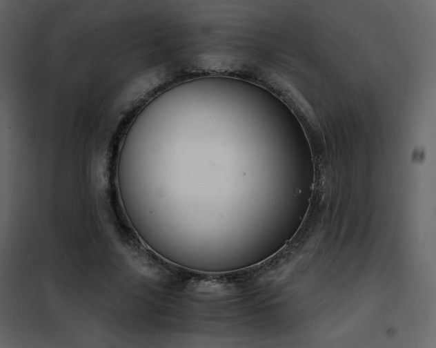 X0000102480635200808081306