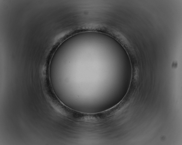 X0000102480636200808081306
