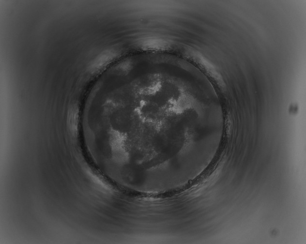 X0000102480637200808081306