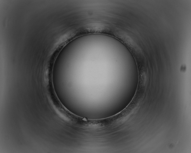 X0000102480638200808081306