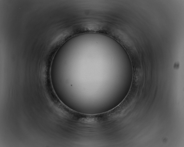 X0000102480639200808081306