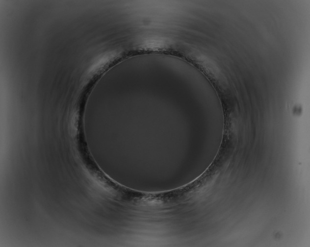 X0000102480640200808081306