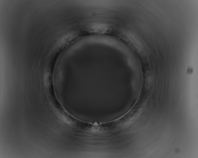 X0000102480641200808081306