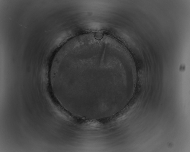 X0000102480642200808081306