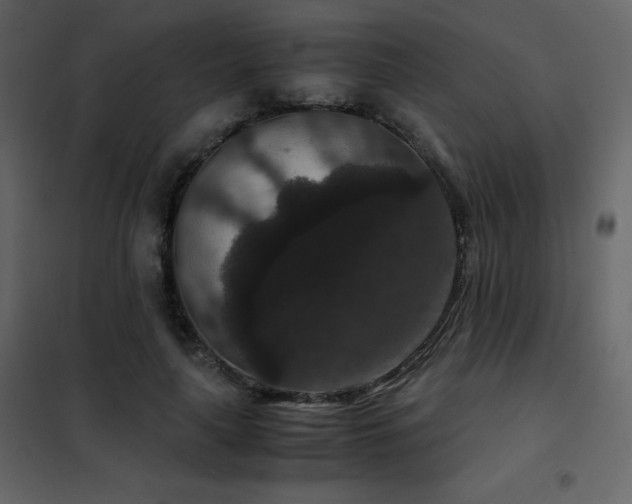 X0000102480643200808081306