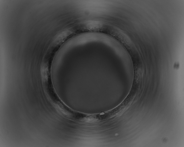X0000102480644200808081306