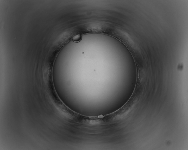 X0000102480645200808081306