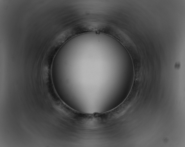 X0000102480646200808081306