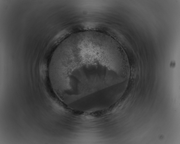 X0000102480648200808081306