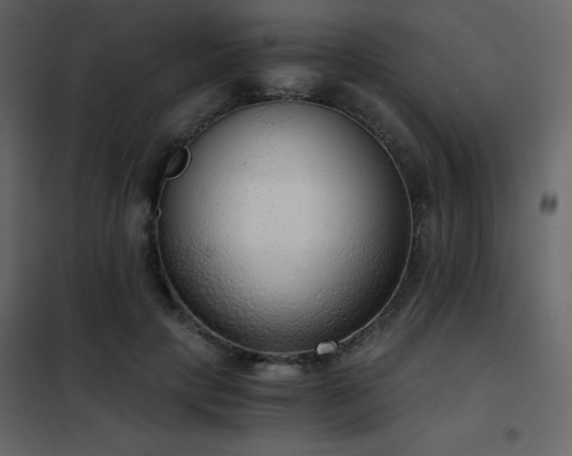 X0000102480649200808081306