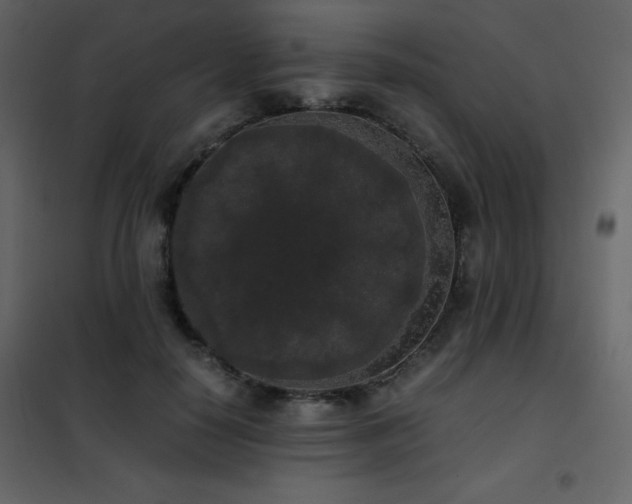 X0000102480650200808081306