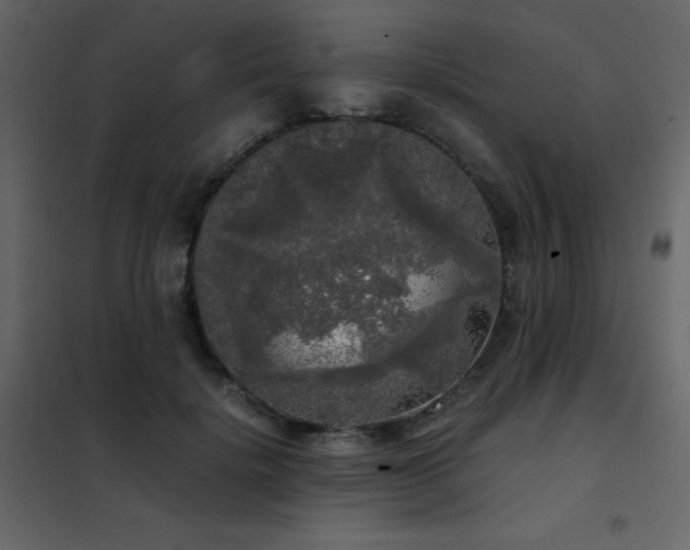 X0000102480652200808081306