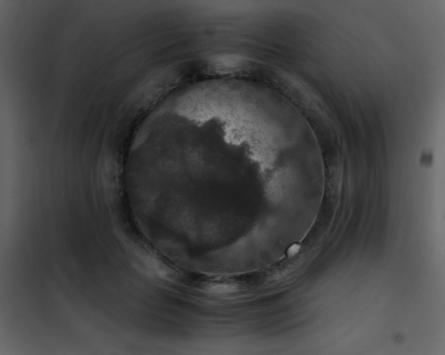 X0000102480653200808081306
