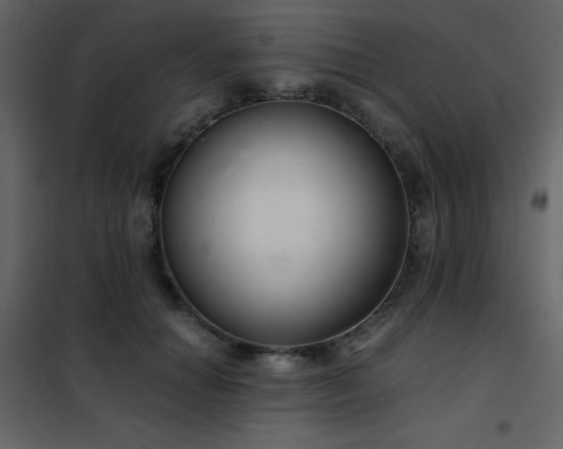 X0000102480654200808081306