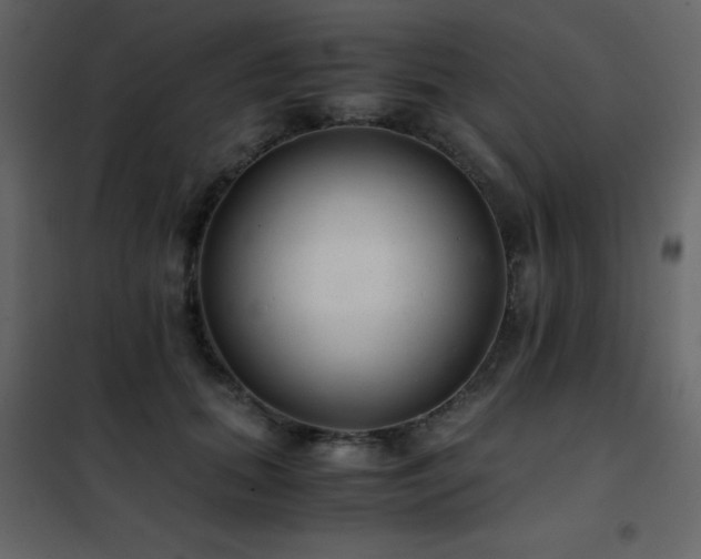 X0000102480655200808081306