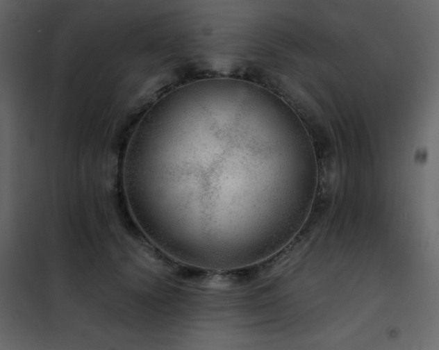 X0000102480656200808081306