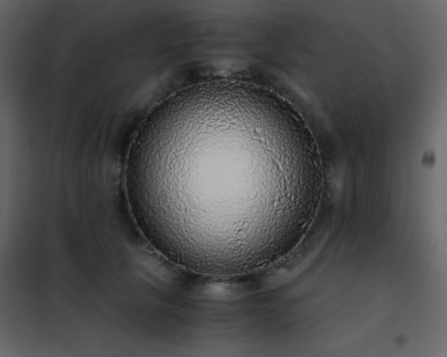 X0000102480657200808081306