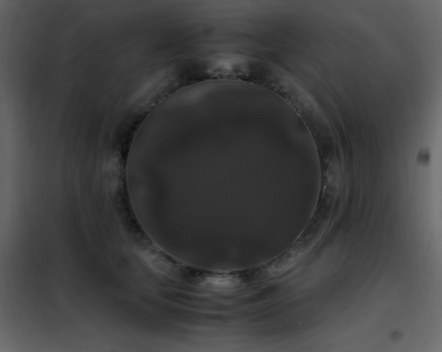 X0000102480659200808081306