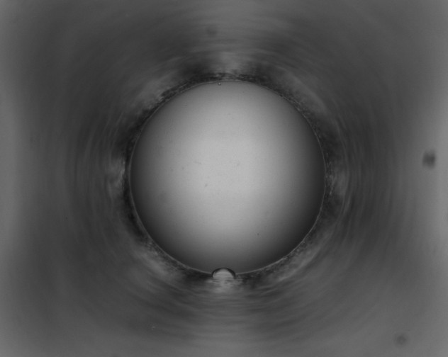 X0000102480660200808081306