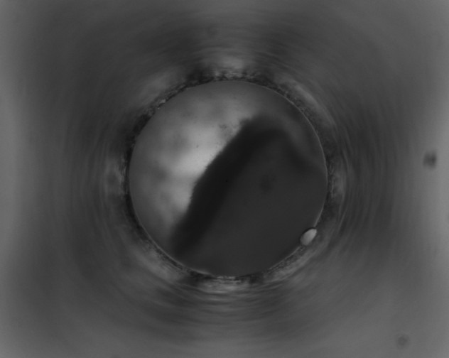 X0000102480661200808081306