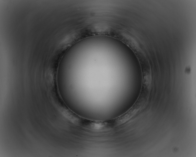 X0000102480662200808081306